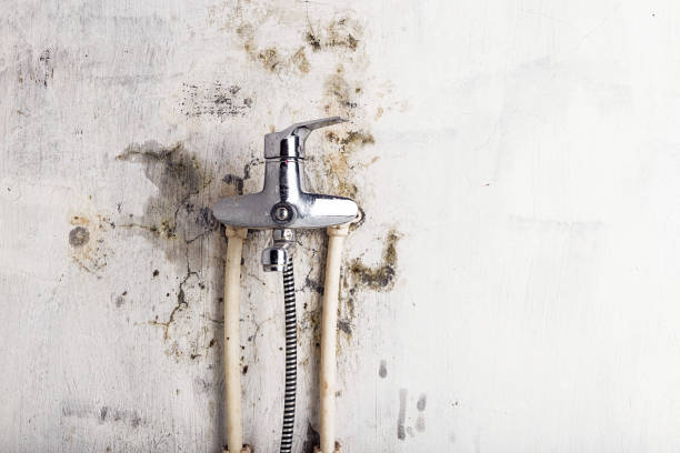 Best Water Damage Restoration  in Vineyard, UT