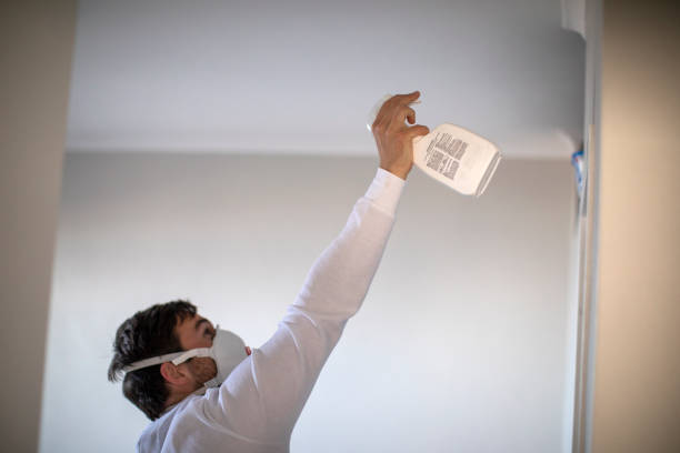 Best Crawl Space Mold Removal  in Vineyard, UT