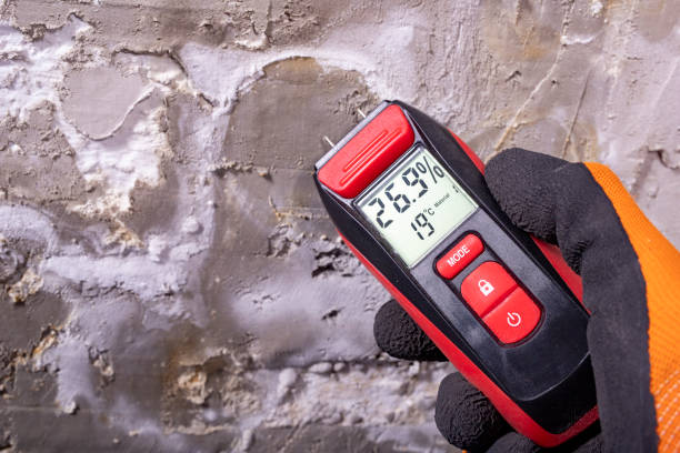 Best Toxic Mold Removal  in Vineyard, UT