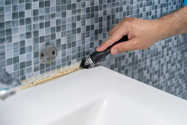 Best Affordable Mold Removal  in Vineyard, UT
