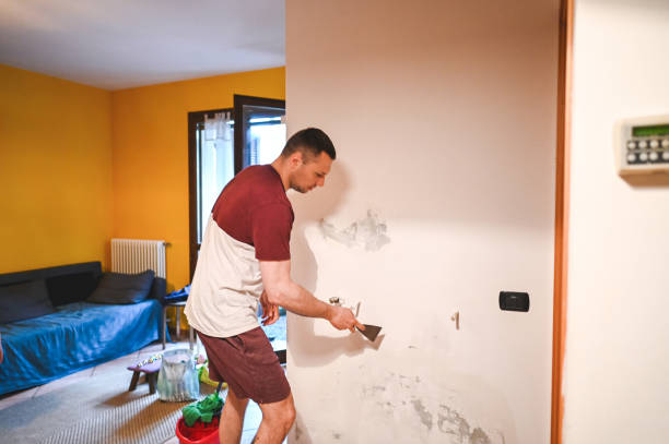Best Mold Removal Company Near Me  in Vineyard, UT